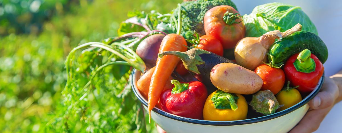 Saisonkalender: Obst & Gemüse nach Jahreszeit in Deutschland