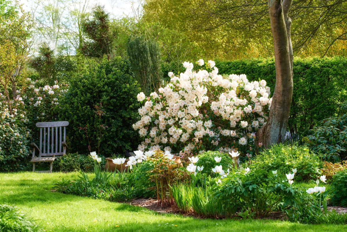 Ruhe im eigenen Garten – Der persönliche Rückzugsort im Osta