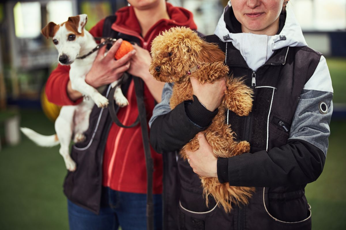 Tierheim Adoption im Ostalbkreis | Besser als kaufen